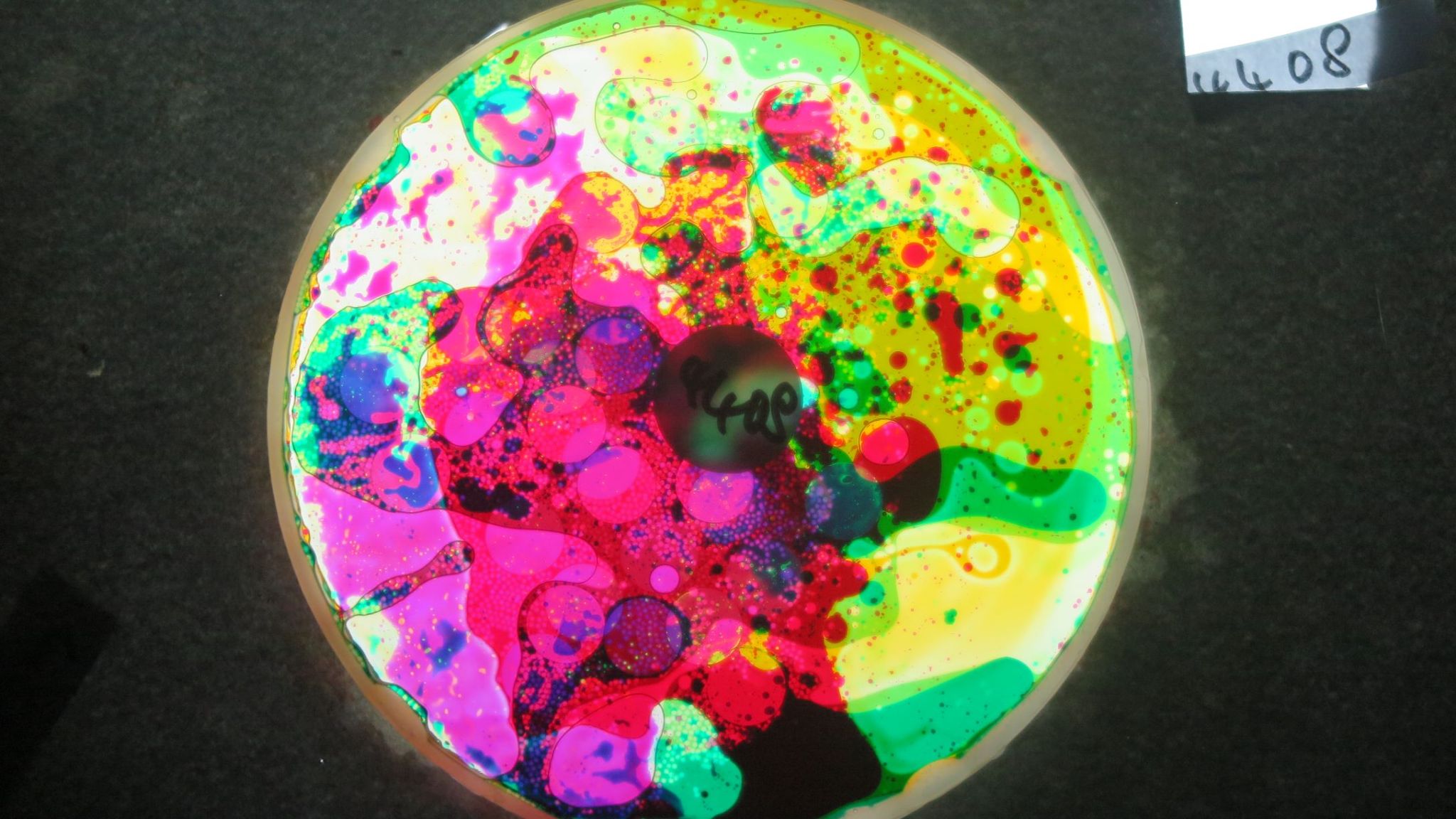 BV4408 bubble vision oil wheel